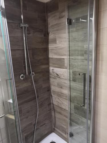 a bathroom with a shower with a toilet at Baita Cima Canale in Malghe Pramarino