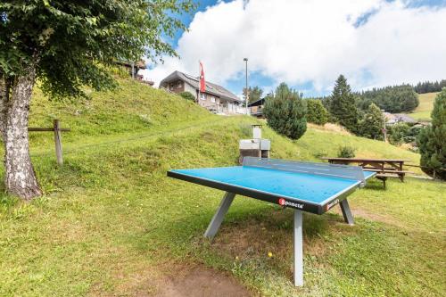 a blue ping pong table on a grassy hill at Ferienwohnungen Kehrwieder in Todtnauberg