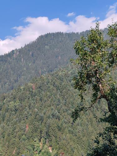 a view of a mountain with trees on it at Napertskala Guesthouse in Utsera