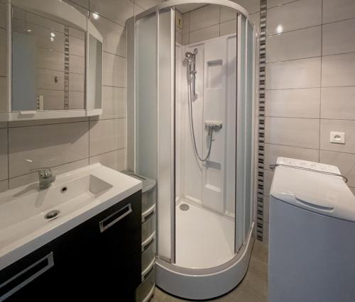 ein Badezimmer mit Dusche und Waschbecken in der Unterkunft Le Monte Cristo in Les Bussolleries