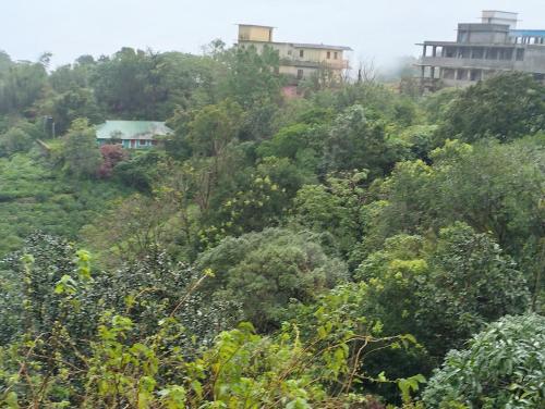 a hill with trees and buildings in the distance at Roamwander doublerooms in Vagamon