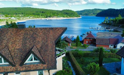 a view of a lake with houses and a beach at Sunside Ferien Wellness Oase Hotel Apartment's Schwarzwald am Schluchsee in Schluchsee