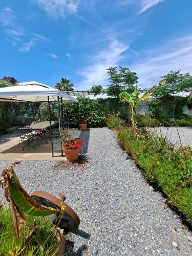 a patio with a table and an umbrella and plants at The Shell in Vallecrosia