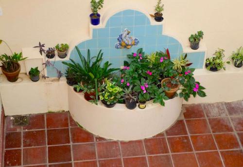 Une bande de plantes en pot sur un mur dans l'établissement Inn House Santa Teresa, à Rio de Janeiro