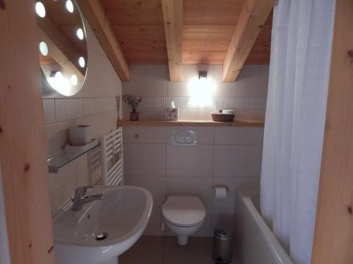 a small bathroom with a sink and a toilet at Chalet LE VAL NESS in La Côte dʼArbroz