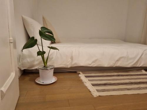 a potted plant sitting on the floor next to a bed at N-Stay#CozySpace#Pyeongtaek Station#Bus Terminal#K6 Humphreys#Samsung in Pyeongtaek