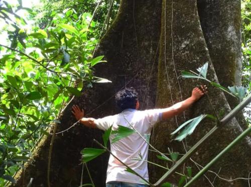 a man standing next to a tree in the forest at Aranyavaat Ecostay in Chiplun