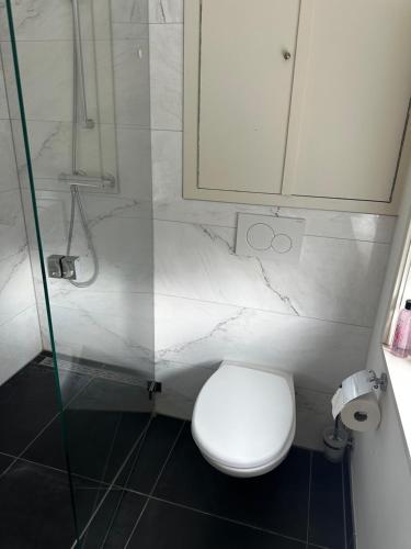 een badkamer met toilet en glazen douche bij Boutique Geldersekade in Amsterdam