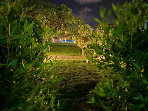 a path through a park with trees and bushes at شاليه بحديقة قريه اركو لاجون العلمين الساحل الشمالي in El Alamein