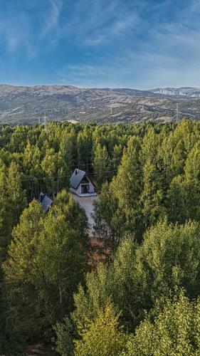 an aerial view of a house in the middle of a forest at Wild Beauty Brezna in Pluzine