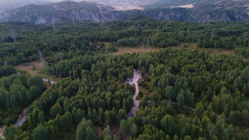 an aerial view of a forest with a river at Wild Beauty Brezna in Pluzine