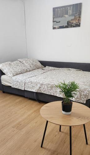 a bedroom with a bed and a table with a potted plant at La Rosa in Monselice