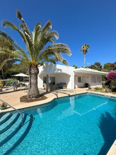 a swimming pool with a palm tree in front of a house at B5 Villa Sueños in Santo Tomás