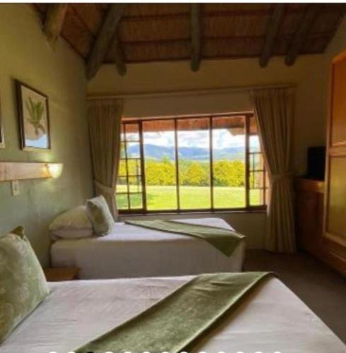 a bedroom with two beds and a large window at Champagne Valley Resort in Champagne Valley