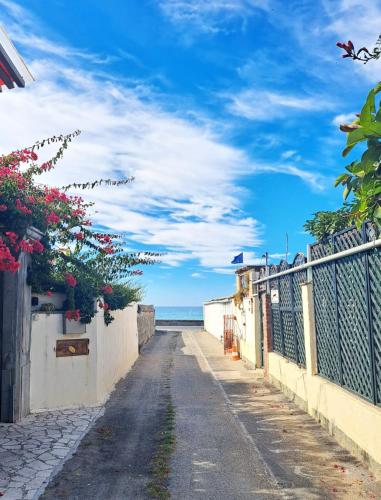 an empty street next to the ocean with flowers at The Shell in Vallecrosia