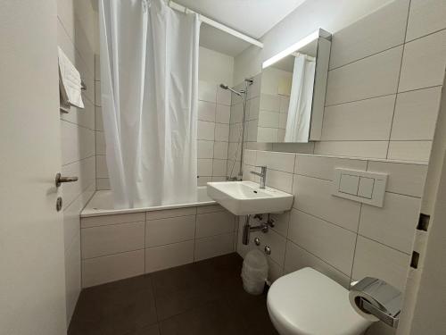Spacious 1BR near Opera and Lake - Mill 5 43