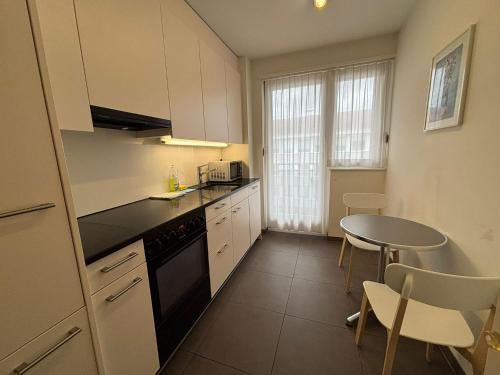 Spacious 1BR near Opera and Lake - Mill 5 43
