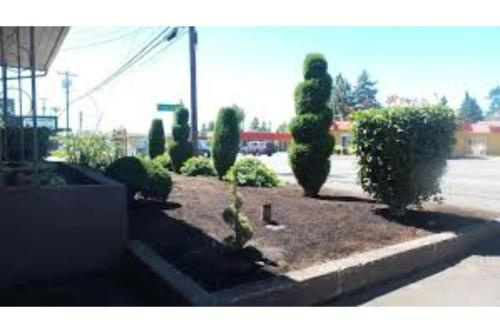 Κήπος έξω από το Townhouse Del Rancho Motel Portland Oregon 205