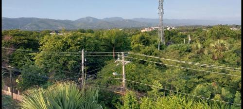 an overhead view of a forest with electricity wires at 2 Bedrooms at Baia Residences in Santiago de los Caballeros
