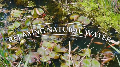 a sign that reads reclaim natural water and aquatic life at Hot Tub Luxury Glamping - Private Stargazing Patio in Yarpole