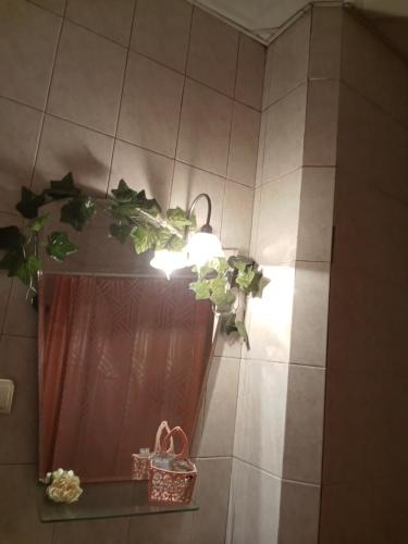 a bathroom with a mirror and a light on a wall at Просторная, двухкомнатная квартира ,с великолепным видом на город, расположенная в центре города Баку in Baku