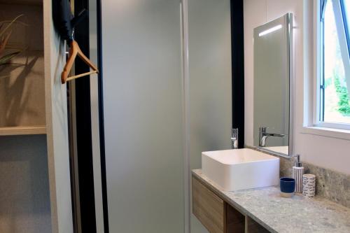 a bathroom with a white sink and a mirror at Lodge en pleine nature in Gouvieux