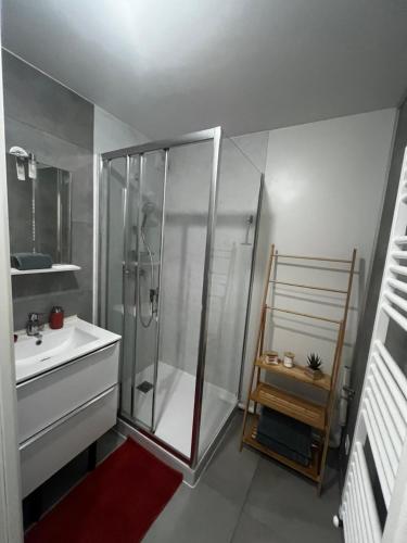 un baño con ducha y lavabo en Appartement 50m2 Amnéville avec balcon à 2 min des thermes, en Amnéville