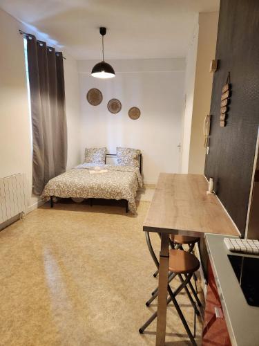 Charmant studio proche de la place Wilson