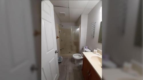 a bathroom with a toilet and a sink and a shower at Algonquin Lakeside Inn in Dwight