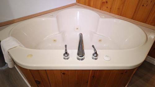 a white sink in a bathroom with a wooden wall at Algonquin Lakeside Inn in Dwight