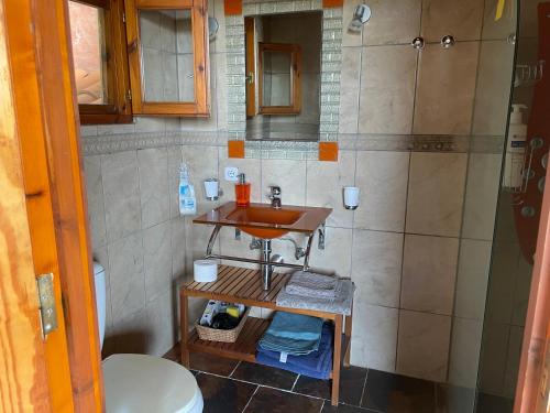 a small bathroom with a sink and a shower at Bergfincahäuschen in Santa Cruz de Tenerife
