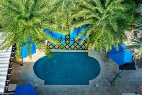 an overhead view of a swimming pool with palm trees at Sawgrass Estates in Plantation