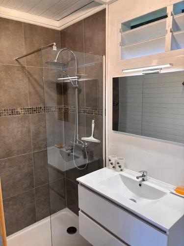 a bathroom with a shower and a sink at Kaz'Arawak in Sainte-Rose