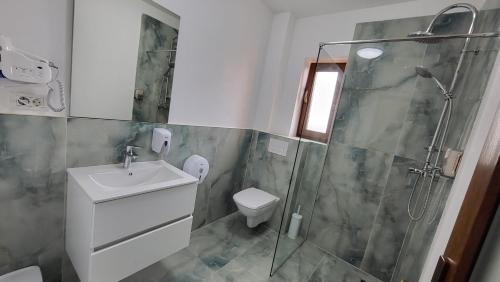 a bathroom with a shower and a toilet and a sink at Pensiune Simona in Deva