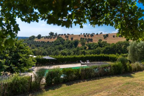a swimming pool with a hill in the background at Scappo in Umbria, La dolce Godera in Lugnano in Teverina