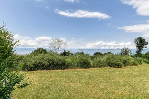 a field of grass with trees and bushes at Lumières du Lac in Lugrin