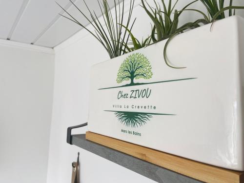 Fotografie z fotogalerie ubytování Chez Zivou au pied de la plage v destinaci Mers-les-Bains