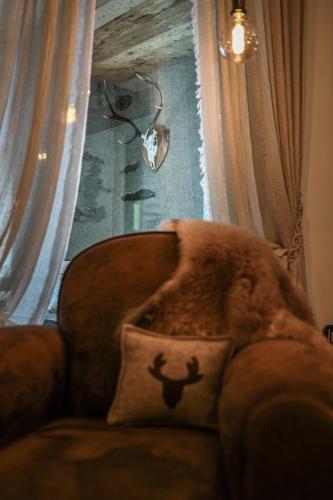 an orange cat sitting on a chair with a pillow at Al Baitin - Charme & Nature - in Santa Caterina Valfurva