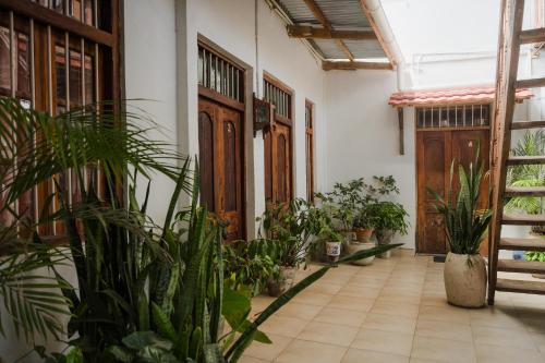 a room filled with lots of plants and wooden doors at Emerald Palm Boutique Hotel in Zanzibar City