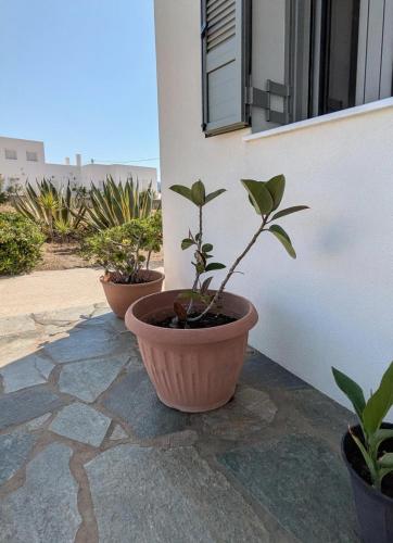 Fotografie z fotogalerie ubytování KONAKI Private Villa v destinaci Skyros