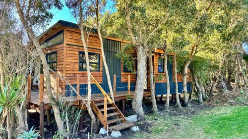 a wooden cabin in the middle of trees at Blue Gum Tree Cottage in Dagbreek