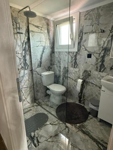 a bathroom with a toilet and a glass shower at FRONT SEA House DIKELLA in Mesimvría