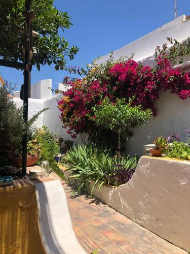 Casa rústica com jardim privado