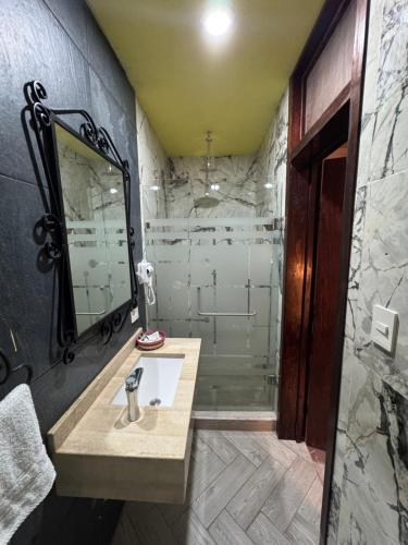 a bathroom with a sink and a shower at Hotel Boutique La Casa de María Joyita in Aguascalientes