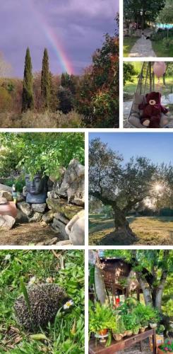 a collage of pictures of a tree and a rainbow at SabinaCountrySide in Corese Terra
