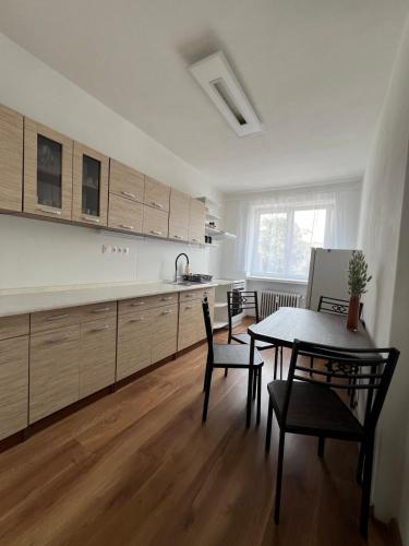 Η κουζίνα ή μικρή κουζίνα στο Apartnám Sysel