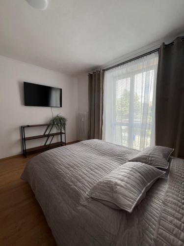 Ένα ή περισσότερα κρεβάτια σε δωμάτιο στο Apartnám Sysel
