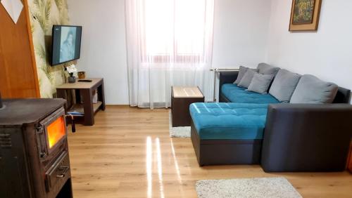 Télévision ou salle de divertissement dans l'établissement Apartmani Nešović Tara