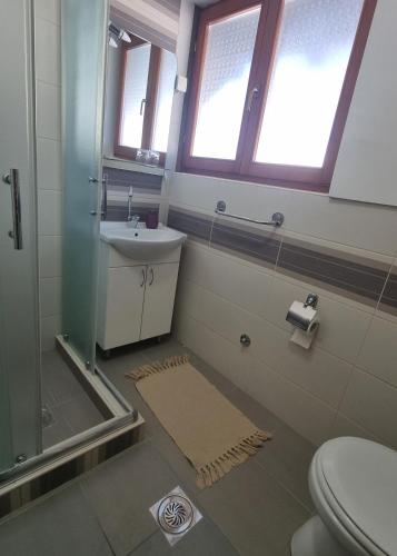 Salle de bains dans l'établissement Apartmani Nešović Tara