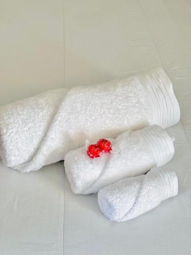 two white towels with a red flower on them at Greens Haven, Your Private escape in Cape Town in Cape Town